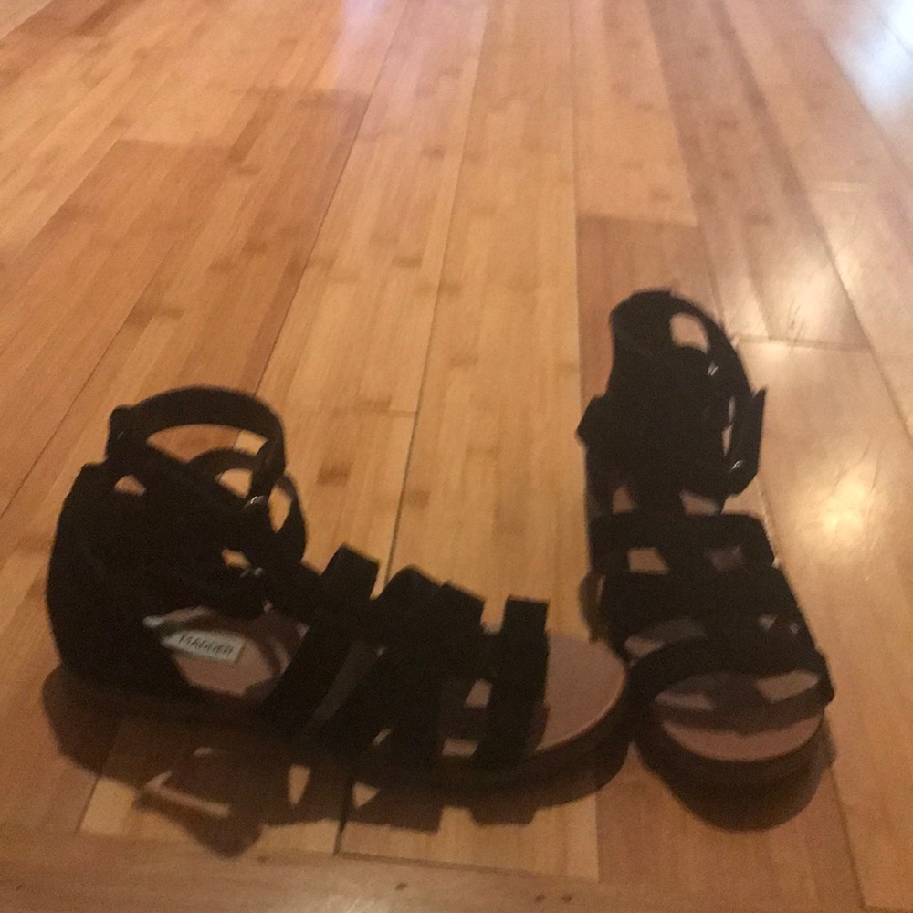 Steve Madden gladiator sandals